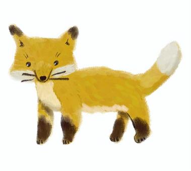 キツネの子 キツネ,キタキツネ,ホンドギツネ,動物,野生動物のイラスト素材