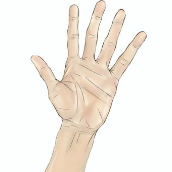 掌　ジャンケン　パー　手相　hand 掌,ジャンケン,パー,リアル,指,手相,hand,palmのイラスト素材
