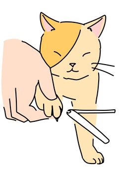 Illustration, nail clippers, cat, a pet, 