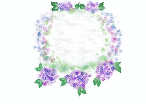 アジサイ アジサイ アジサイ,花,フレームのイラスト素材