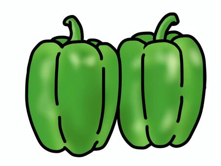 ピーマン ピーマン,野菜,緑色,夏野菜,食べ物,食品,食料品,食育,料理,献立のイラスト素材