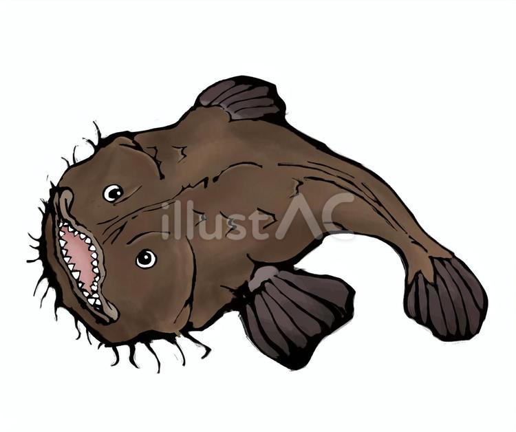 アンコウ（鮟鱇） 墨絵風 アンコウ,鮟鱇,墨絵のイラスト素材