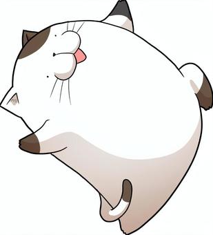 踊る三毛猫 ネコ,動物,ペット,丸い,ゆるい,かわいい,三毛猫,踊る,ダンスのイラスト素材