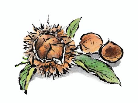 秋の味覚　絵手紙風の栗 栗,食べ物,秋,11月,木の実,毬,棘,秋の味覚,葉,毛筆のイラスト素材