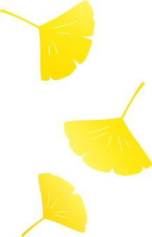 Ginkgo, ginkgo biloba, fallen leaves, autumn, JPG, PNG and AI