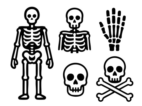 Illustration, bones, bone, simple, 