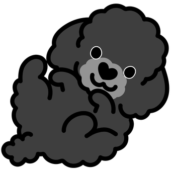 ハート鼻のプードル（ごろん）5 プードル,トイプードル,犬,動物,ハート,鼻,ゴロン,寝転がる,仰向け,シンプルのイラスト素材