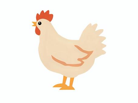 にわとり チキン,鶏,鳥,チャボ,トサカ,動物,ペット,家畜,可愛い,シンプルのイラスト素材