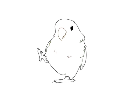 コザクラインコ線画 鳥,インコ,かわいい,ペット,手乗り,フリー,コザクラインコ,線画,素材,無料のイラスト素材