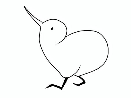 見上げるキウイ線画 キウイ,鳥,手描き,線画,シンプル,nz,塗り絵,黒,見上げるのイラスト素材