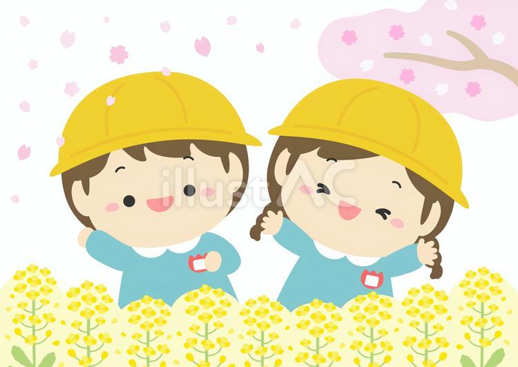 入園式の幼稚園の子どもと桜と菜の花02 入園,入園式,春のイラスト素材