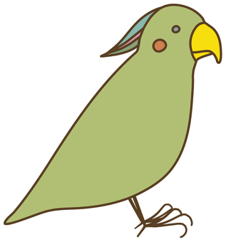 Green parakeet, , JPG, PNG and AI