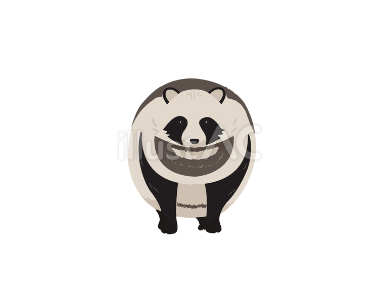 タヌキ（正面・主線なし） タヌキ,動物,日本のイラスト素材
