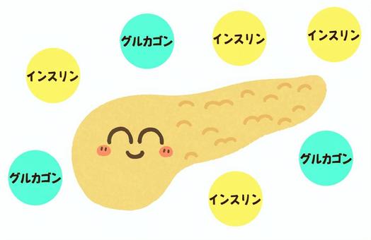 Illustration, pancreas, internal organs, parts, 