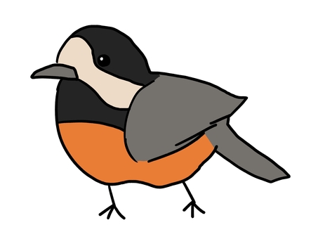 ヤマガラ ヤマガラ,鳥,動物,生き物,くちばし,翼,鳥類,小鳥,自然,1羽のイラスト素材