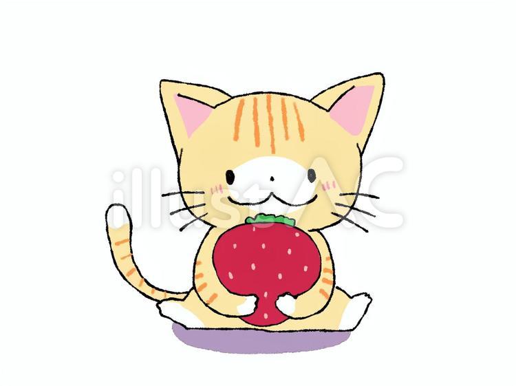 猫さんと苺 猫,イチゴ,果物のイラスト素材