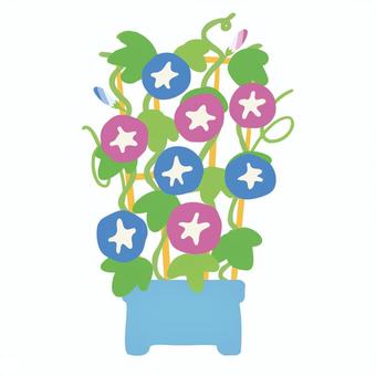 シンプルな朝顔の鉢植え 朝顔,鉢植え,花,咲く,蕾,葉っぱ,ツル,ポット,シンプル,つぼみのイラスト素材