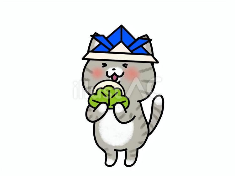 柏餅を食べる折り紙の兜を被ったネコちゃん ねこ,かしわもち,兜のイラスト素材