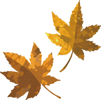 Illustration, natural, autumn, leaf, 