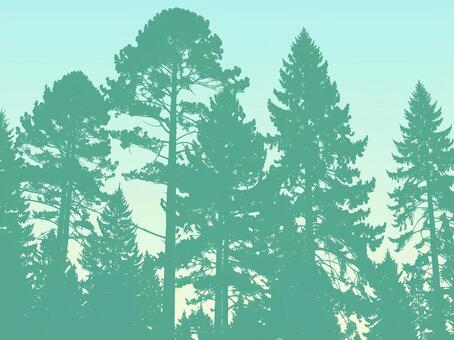 高くそびえる樹木針葉樹のシルエットカラー 木,木々,シルエット,荘厳,背景,樹木,雄大,迫力,アウトドア,登山のイラスト素材