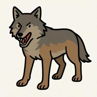 狼