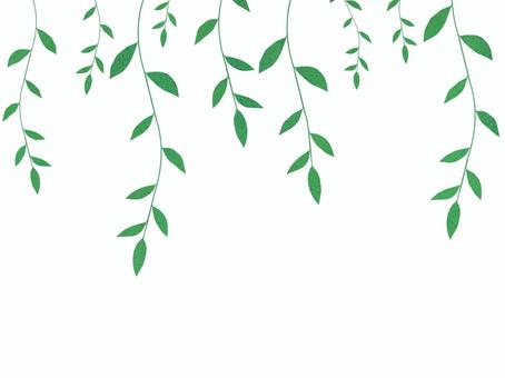 植物のつるのイラスト つる,葉,緑,植物,自然,挿絵,イラスト,飾り,あしらい,素材のイラスト素材