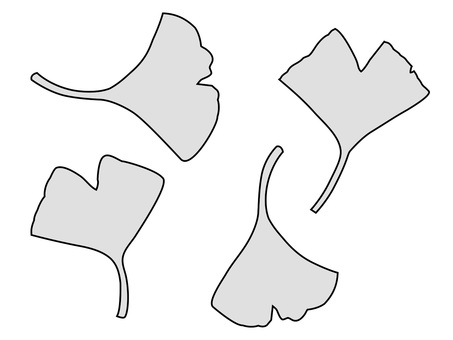 Illustration, ginkgo, gri, monoton, 