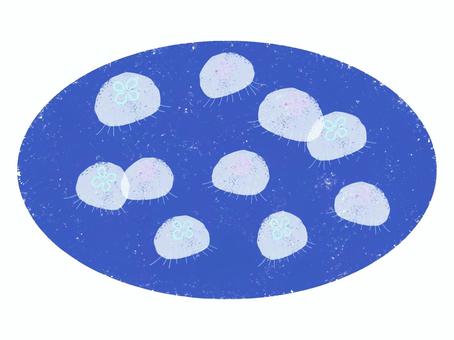 くらげ くらげ,海,シンプルのイラスト素材