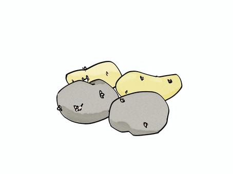 じゃがいも2 じゃがいも,植物,食べ物,炭水化物,栽培,芽,毒のイラスト素材