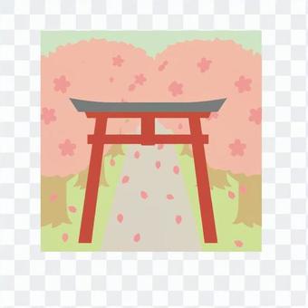 Cherry blossoms scenery · torii Cherry blossoms scenery · torii
