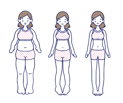 Female body Various body types Diet Female body Various body types Diet