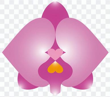 Flower 10_02 Flower 10_02