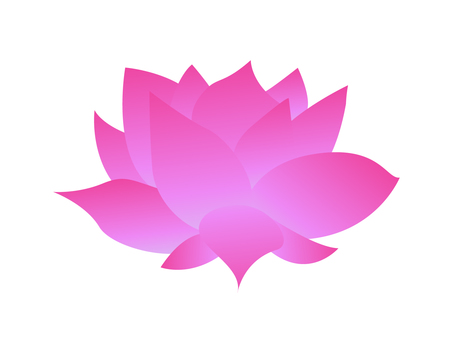 Lotus flower illustration Lotus flower illustration