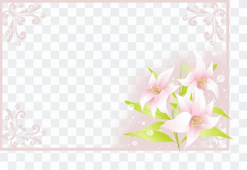 Shirayuri frame 1 Shirayuri frame 1