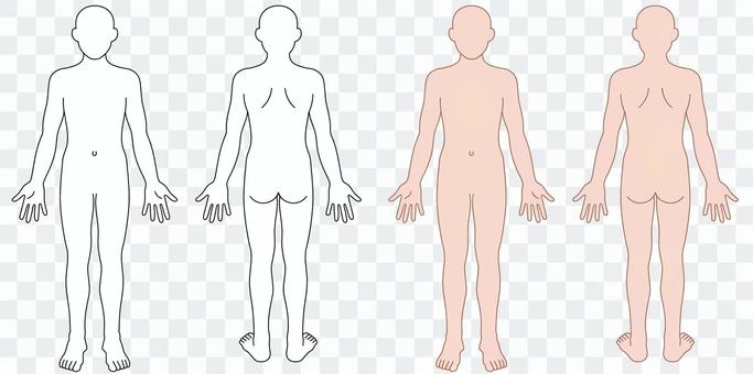 Illustration of human figure (schema) Illustration of human figure (schema)