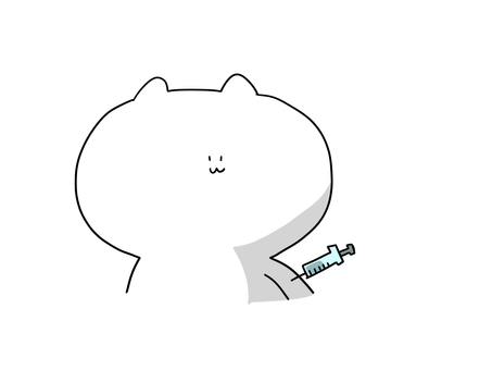 Cat staring at the syringe Cat staring at the syringe