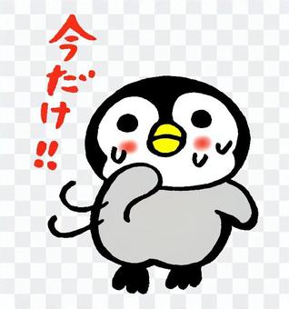 Waving hand penguin chick 3 Waving hand penguin chick 3