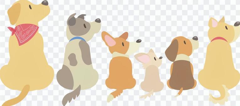 Dogs Various dogs looking back Dogs Various dogs looking back