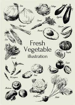 Fresh vegetable illustration Fresh vegetable illustration