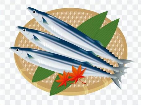Pacific saury Pacific saury