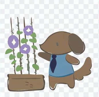 Morning glory and dog Morning glory and dog