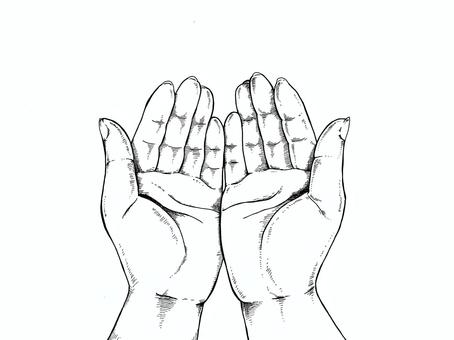 Hand line drawing Illustration - Wrap - Hand line drawing Illustration - Wrap -