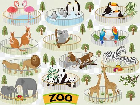 Zoo with orientation Zoo with orientation