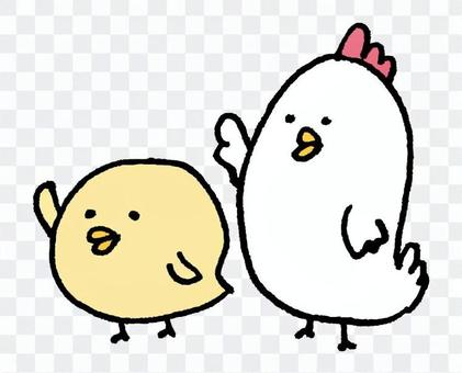 Chicken parent and child Chicken parent and child