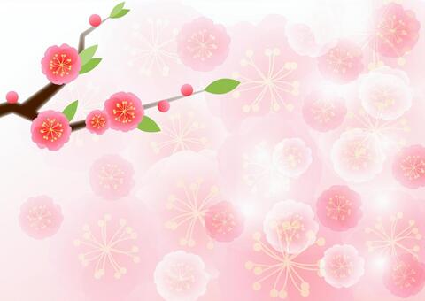 Peach blossom background Peach blossom background
