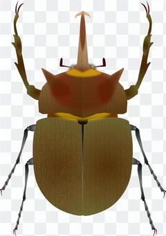 Beetle (elephant) Beetle (elephant)