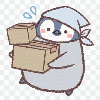 Moving penguin chick Moving penguin chick