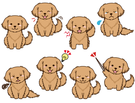 Golden retriever pose collection Golden retriever pose collection