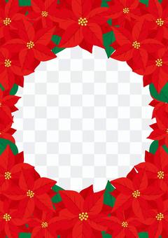 Poinsettia 5 Poinsettia 5