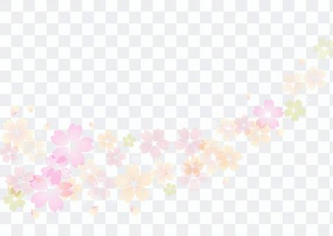 Cherry blossoms 335 Cherry blossoms 335